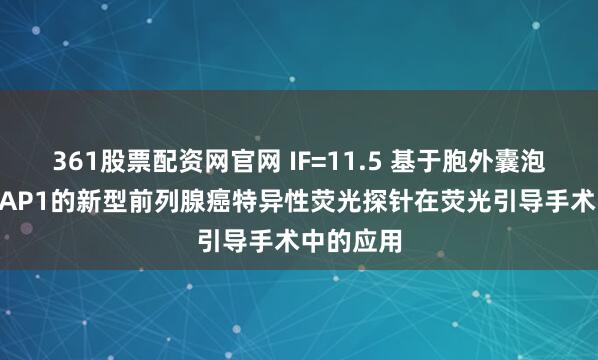 361股票配资网官网 IF=11.5 基于胞外囊泡靶向STEAP1的新型前列腺癌特异性荧光探针在荧光引导手术中的应用