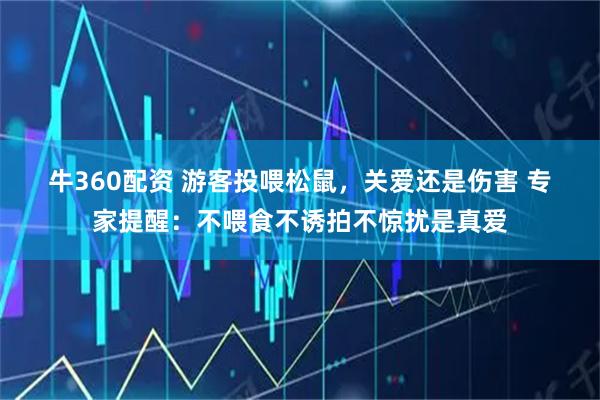 牛360配资 游客投喂松鼠，关爱还是伤害 专家提醒：不喂食不诱拍不惊扰是真爱