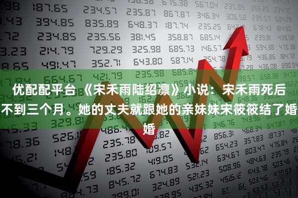 优配配平台 《宋禾雨陆绍凛》小说：宋禾雨死后不到三个月。她的丈夫就跟她的亲妹妹宋筱筱结了婚